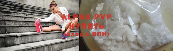 стафф Дмитриев