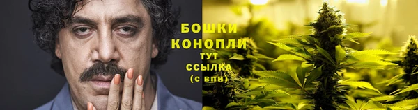 амф Дмитровск