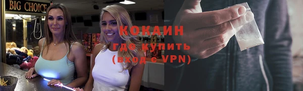 стафф Дмитриев