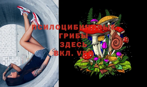 стафф Дмитриев
