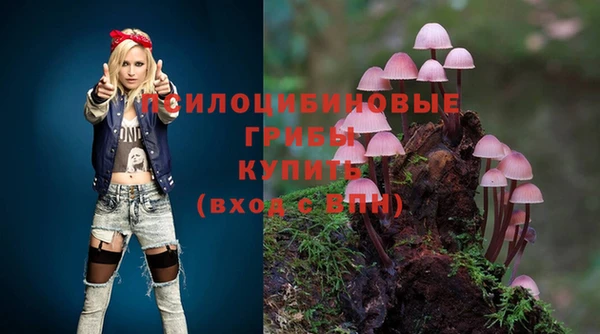 амф Дмитровск