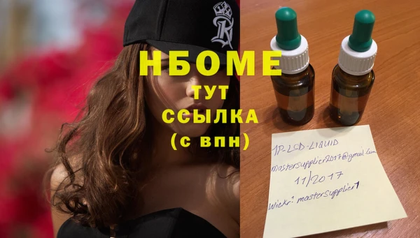 стафф Дмитриев