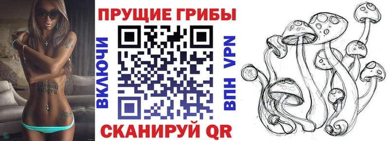 Галлюциногенные грибы мухоморы  магазин продажи наркотиков  Магнитогорск 